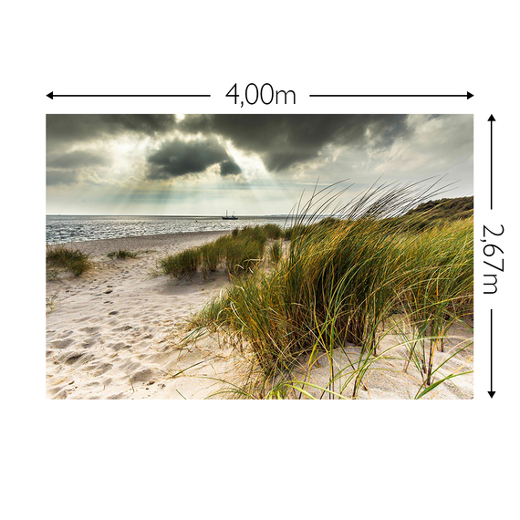 Wandbild Schnappschuss 200 gr. Vlies Maß: 4,00m breit x 2,67m hoch