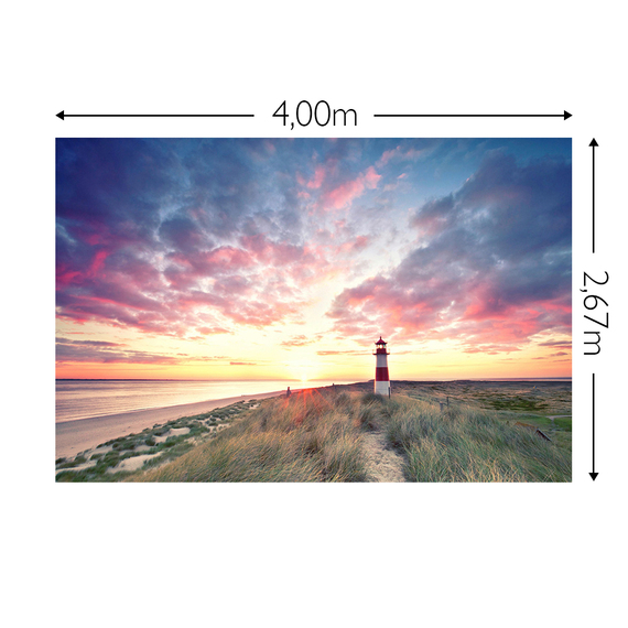 Wandbild Schnappschuss 200 gr. Vlies Maß: 4,00m breit x 2,67m hoch