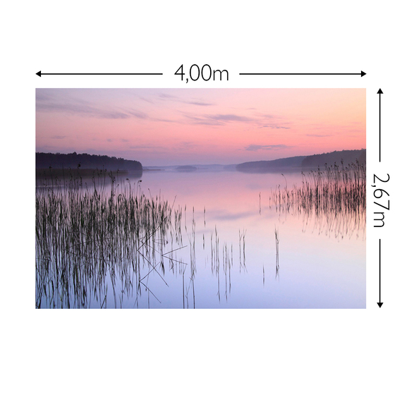 Wandbild Schnappschuss 130 gr. Mattvlies Maß: 4,00m breit x 2,67m hoch