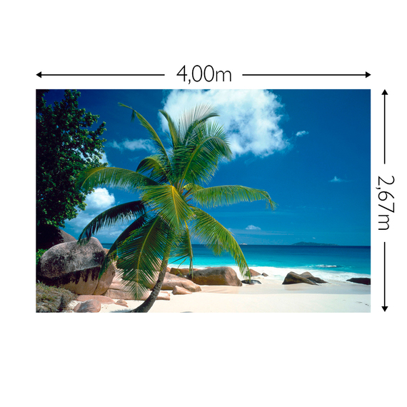 Wandbild Schnappschuss 130 gr. Mattvlies Maß: 4,00m breit x 2,67m hoch