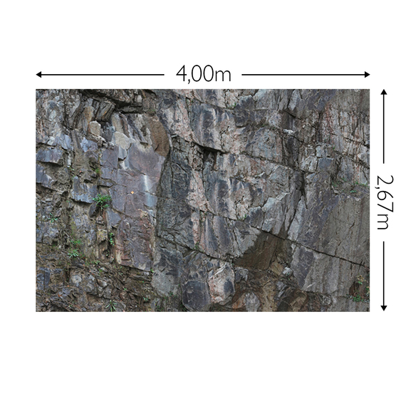 Wandbild Schnappschuss 200 gr. Vlies Maß: 4,00m breit x 2,67m hoch
