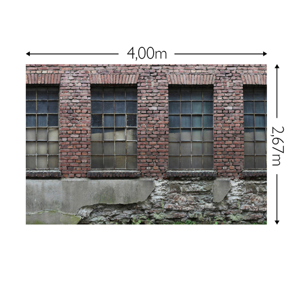 Wandbild Schnappschuss 200 gr. Vlies Maß: 4,00m breit x 2,67m hoch