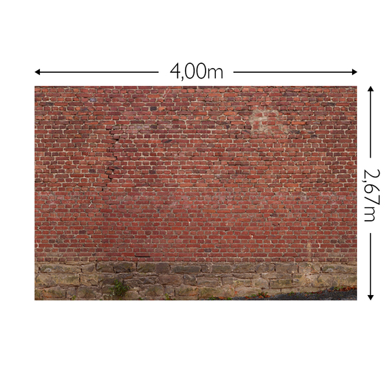 Wandbild Schnappschuss 200 gr. Vlies Maß: 4,00m breit x 2,67m hoch