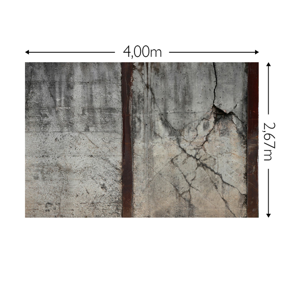 Wandbild Schnappschuss 200 gr. Vlies Maß: 4,00m breit x 2,67m hoch