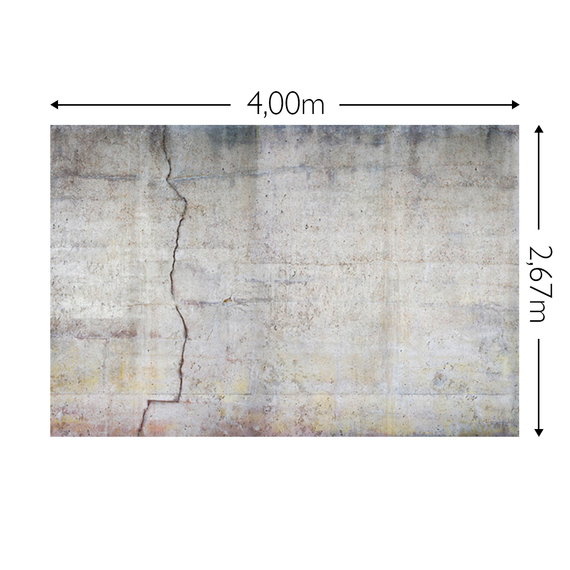 Wandbild Schnappschuss 130 gr. Mattvlies Maß: 4,00m breit x 2,67m hoch