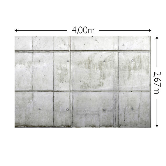 Wandbild Schnappschuss 200 gr. Vlies Maß: 4,00m breit x 2,67m hoch