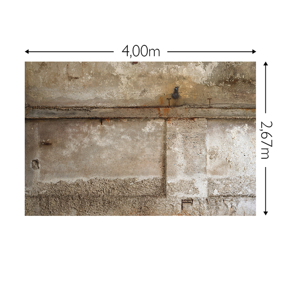 Wandbild Schnappschuss 200 gr. Vlies Maß: 4,00m breit x 2,67m hoch