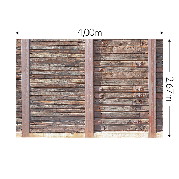 Wandbild Schnappschuss 200 gr. Vlies Maß: 4,00m breit x 2,67m hoch