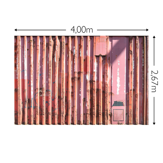 Wandbild Schnappschuss 130 gr. Mattvlies Maß: 4,00m breit x 2,67m hoch