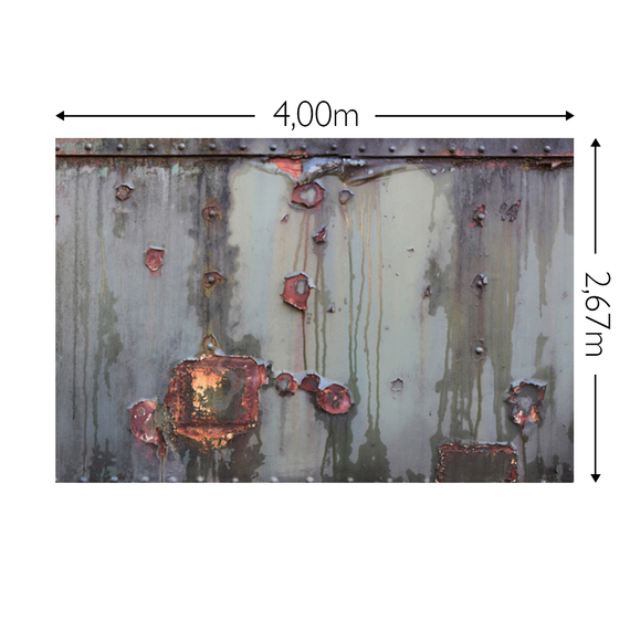 Wandbild Schnappschuss 200 gr. Vlies Maß: 4,00m breit x 2,67m hoch