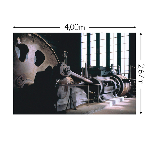 Wandbild Schnappschuss 130 gr. Mattvlies Maß: 4,00m breit x 2,67m hoch