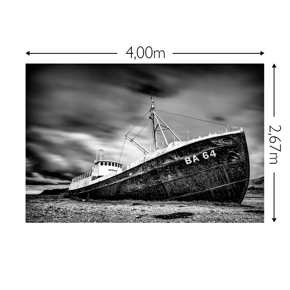 Wandbild Schnappschuss 130 gr. Mattvlies Maß: 4,00m breit x 2,67m hoch