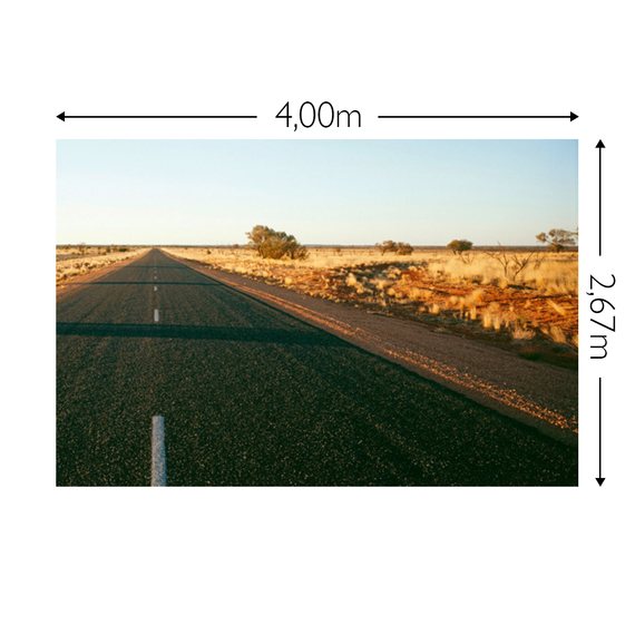 Wandbild Schnappschuss 130 gr. Mattvlies Maß: 4,00m breit x 2,67m hoch