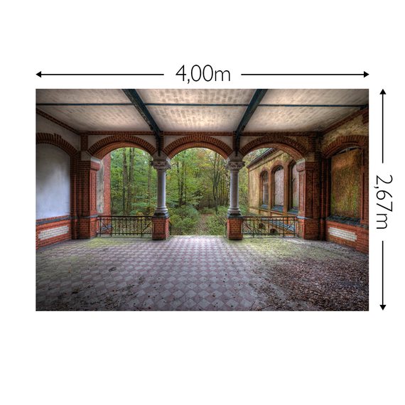 Wandbild Schnappschuss 130 gr. Mattvlies Maß: 4,00m breit x 2,67m hoch