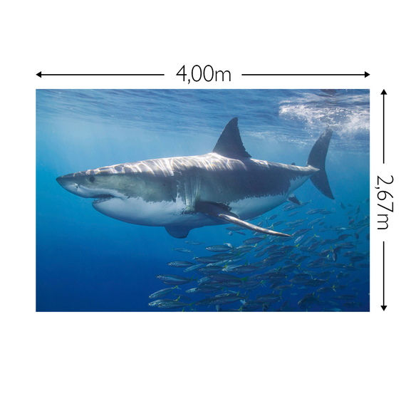 Wandbild Schnappschuss 130 gr. Mattvlies Maß: 4,00m breit x 2,67m hoch