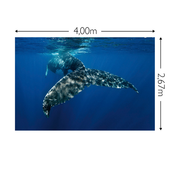 Wandbild Schnappschuss 130 gr. Mattvlies Maß: 4,00m breit x 2,67m hoch