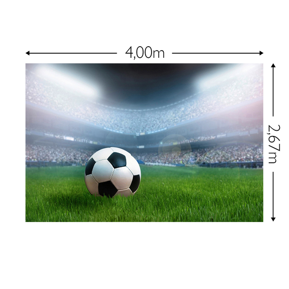 Wandbild Schnappschuss 200 gr. Vlies Maß: 4,00m breit x 2,67m hoch