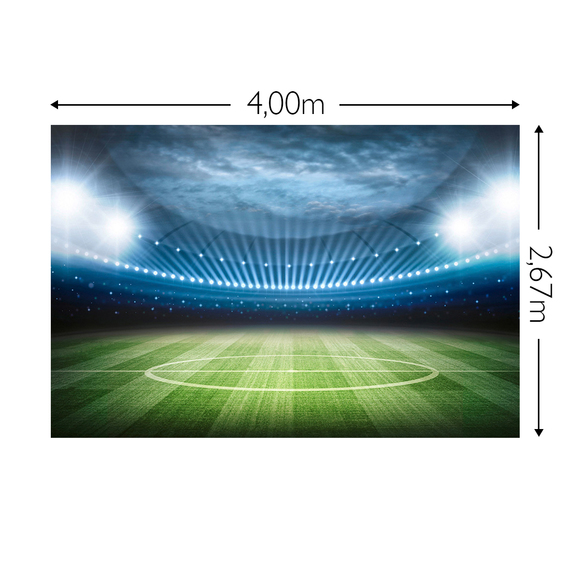 Wandbild Schnappschuss Strukturvlies Maß: 4,00m breit x 2,67m hoch