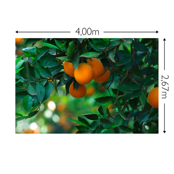 Wandbild Schnappschuss 130 gr. Mattvlies Maß: 4,00m breit x 2,67m hoch