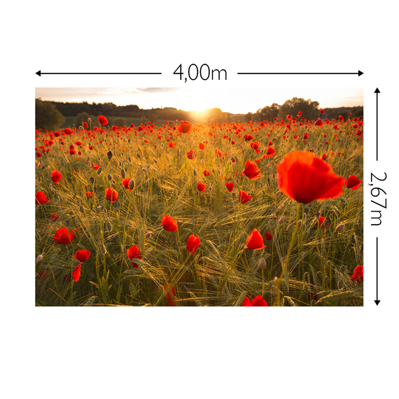 Wandbild Schnappschuss 130 gr. Mattvlies Maß: 4,00m breit x 2,67m hoch