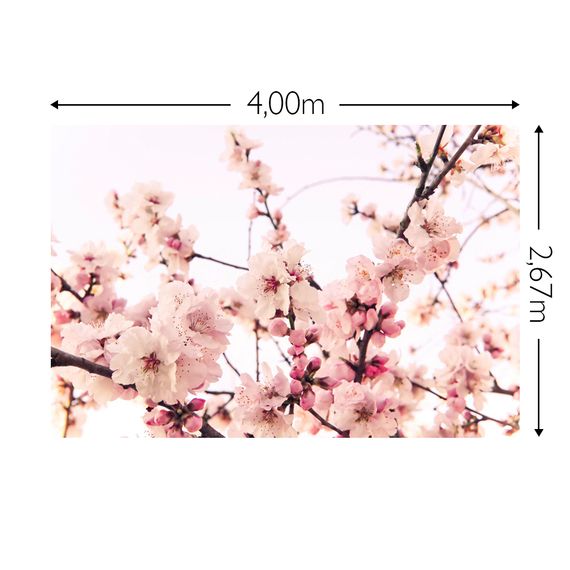 Wandbild Schnappschuss 130 gr. Mattvlies Maß: 4,00m breit x 2,67m hoch