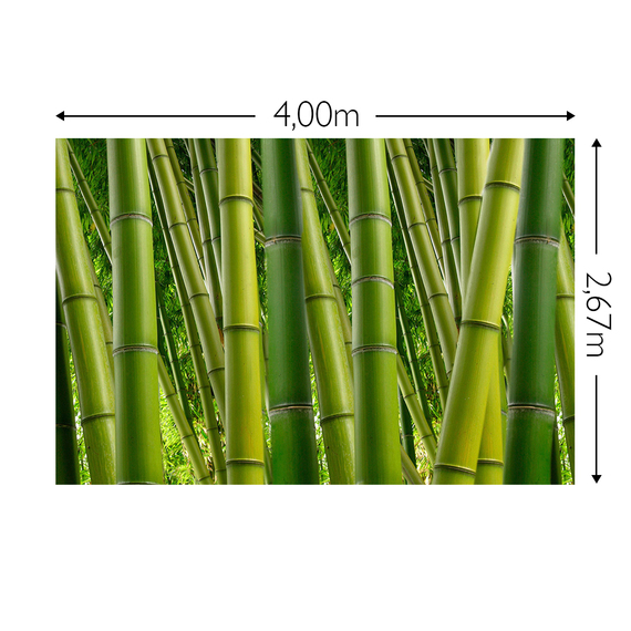 Wandbild Schnappschuss 130 gr. Mattvlies Maß: 4,00m breit x 2,67m hoch