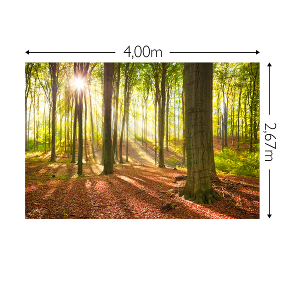 Wandbild Schnappschuss 130 gr. Mattvlies Maß: 4,00m breit x 2,67m hoch