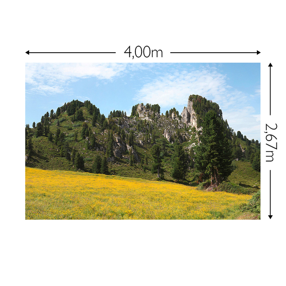 Wandbild Schnappschuss 130 gr. Mattvlies Maß: 4,00m breit x 2,67m hoch