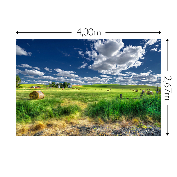 Wandbild Schnappschuss 200 gr. Vlies Maß: 4,00m breit x 2,67m hoch