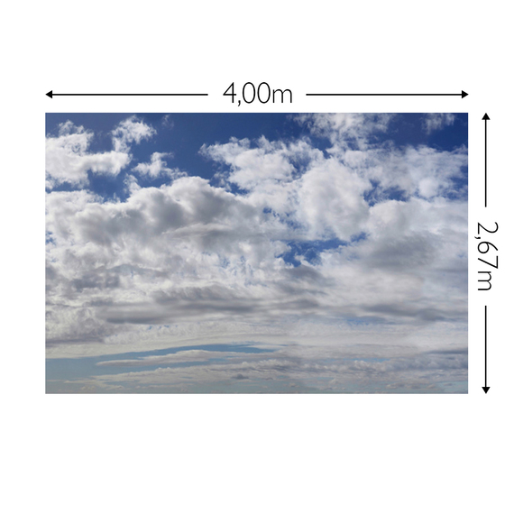 Wandbild Schnappschuss Strukturvlies Maß: 4,00m breit x 2,67m hoch