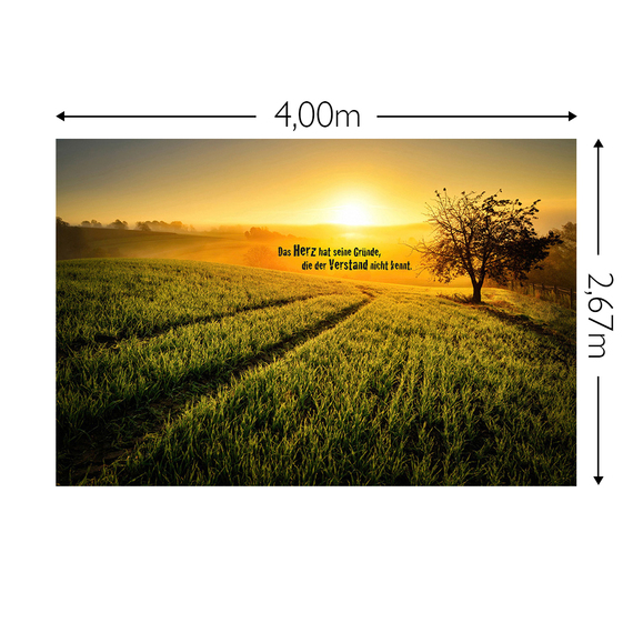 Wandbild Schnappschuss 130 gr. Mattvlies Maß: 4,00m breit x 2,67m hoch