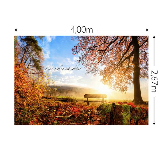 Wandbild Schnappschuss 200 gr. Vlies Maß: 4,00m breit x 2,67m hoch
