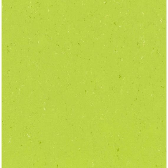 Linoleum-Boden Jokaleum Color Neocare 2,5mm Bahnen 200cm