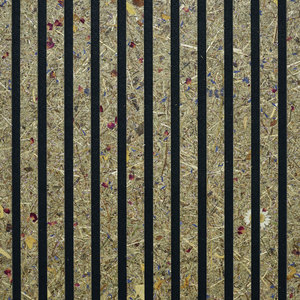 INKU PARO AKUSTIK PAO3011 Almwiese SCHWARZES VLIES, Beschichtung Organoid®