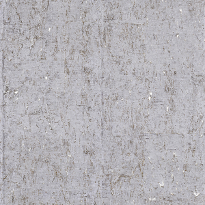TAP19307 Evolution 2 2024 Breite 91 cm